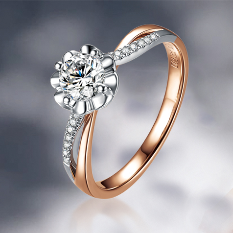 請?zhí)顚憳?biāo)題